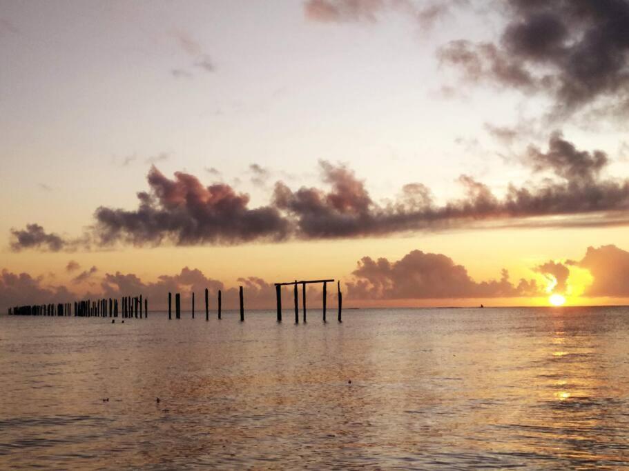 Canto Do Mar - Chales Com Vista Pro Mar - 库穆鲁沙蒂巴 外观 照片